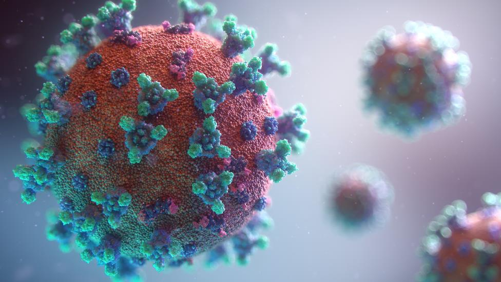 Nanda & Associate Lawyers Canada - An illustration of COVID-19 virus