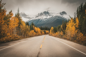 Mountains and trees in Alberta
