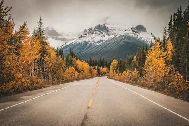 Mountains and trees in Alberta