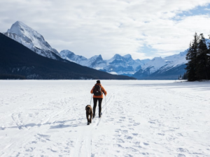 Snow in Canada's province