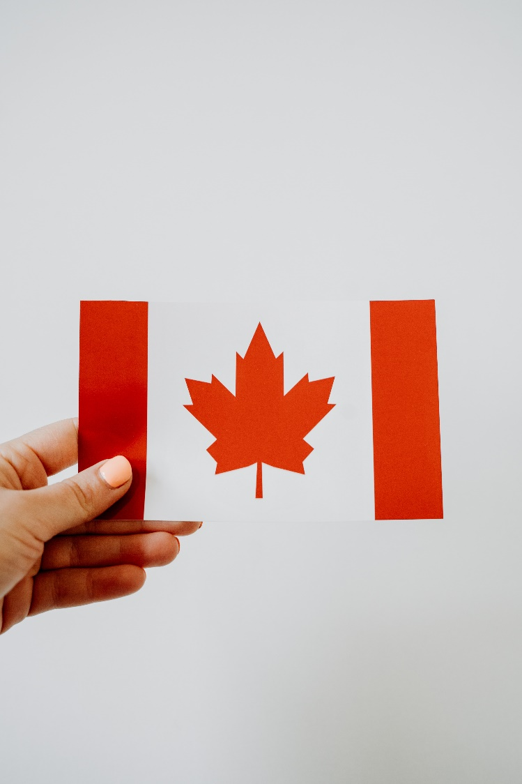 Nanda & Associate Lawyers Canada - A person holding a Canadian flag.
