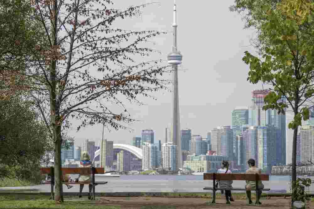 Couples sitting on the bench