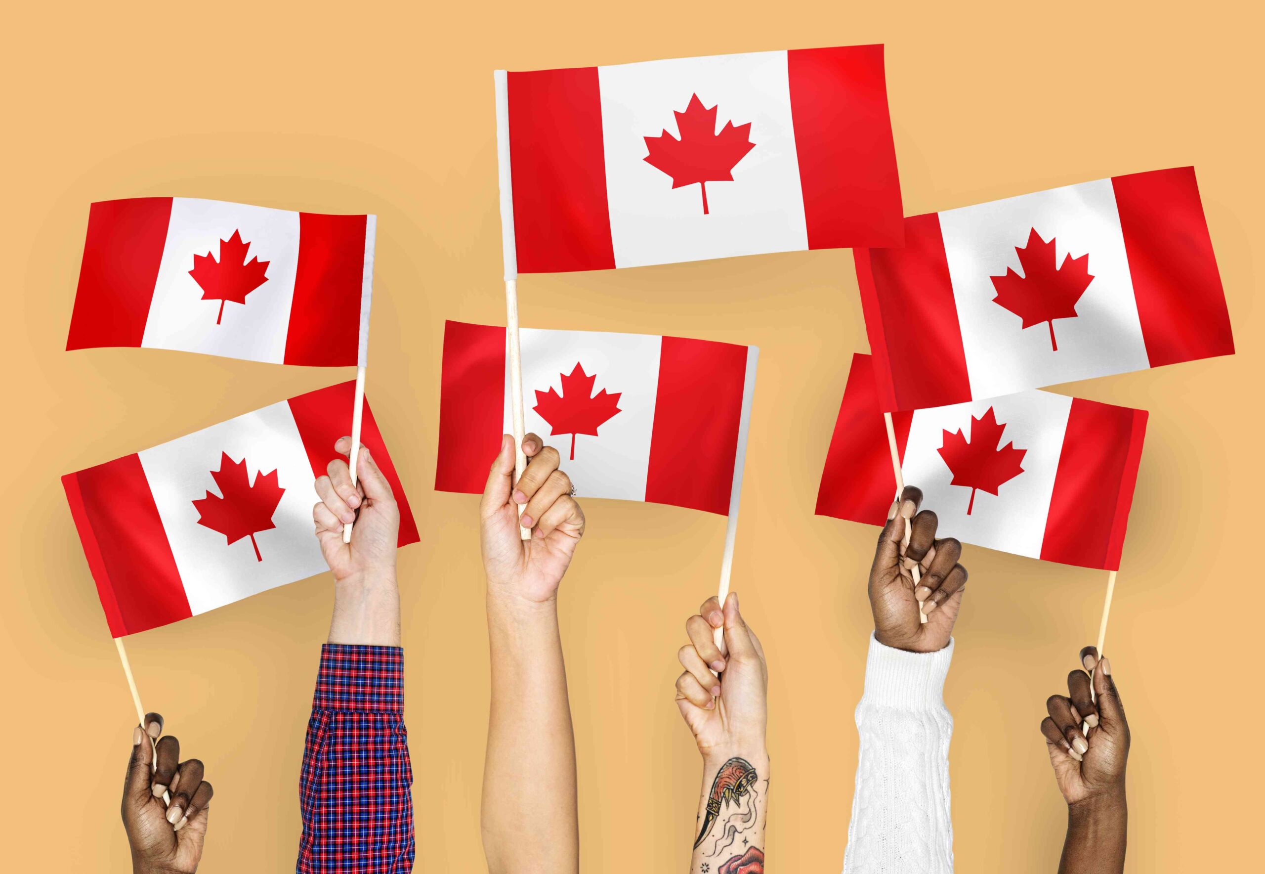 Nanda & Associate Lawyers Canada - IRCC Eases Language Rules