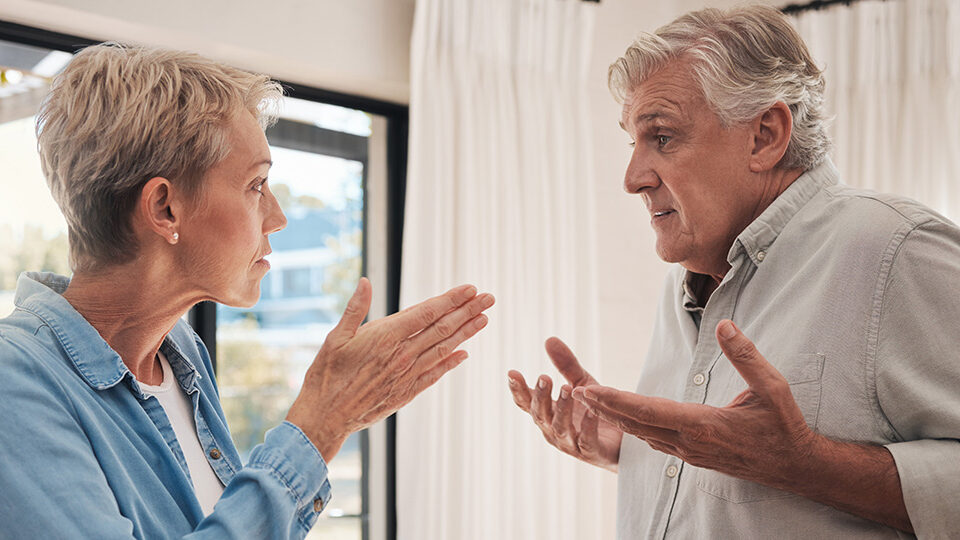 Property Division and Spousal Support